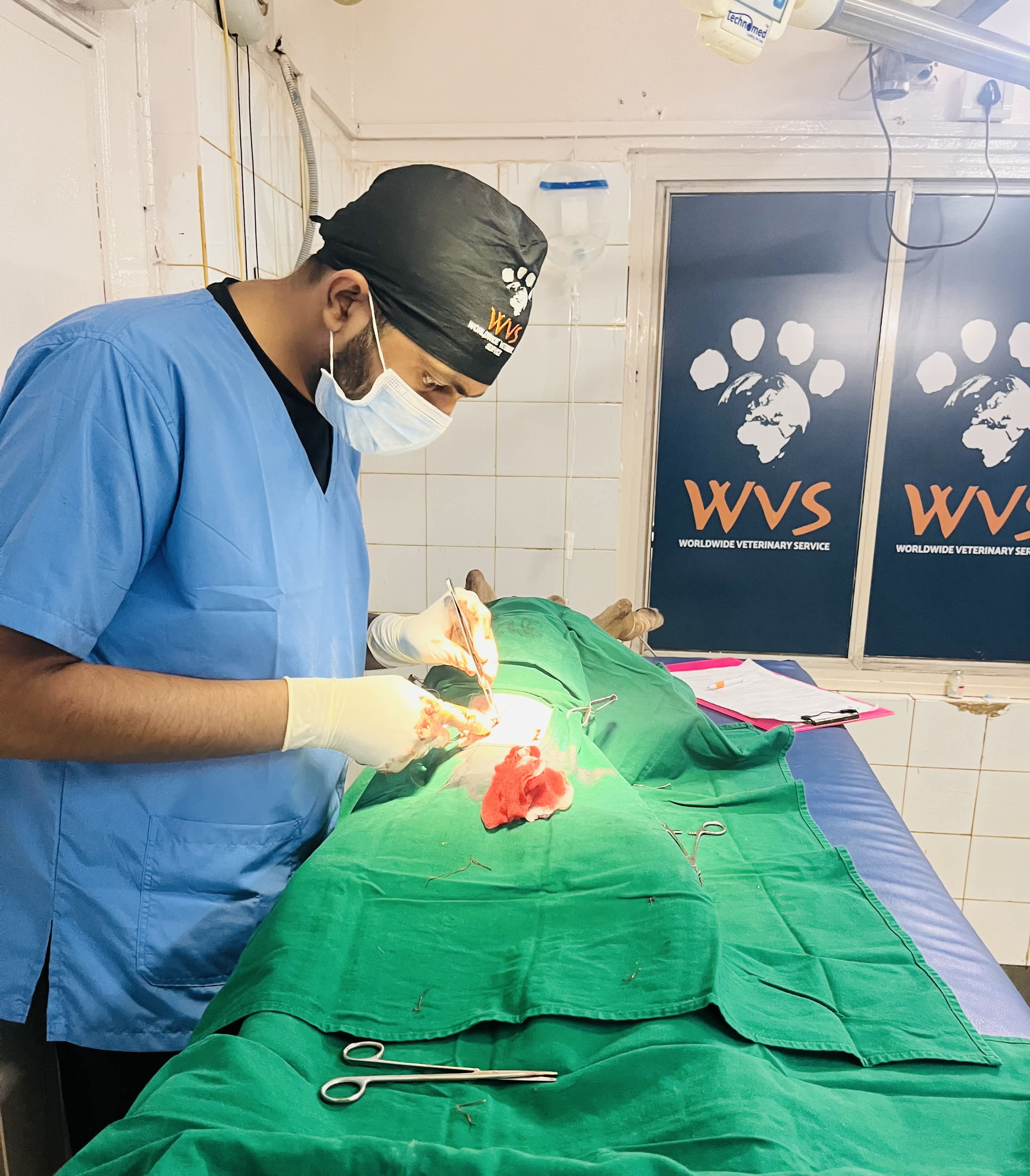 Vetmedics Gallery