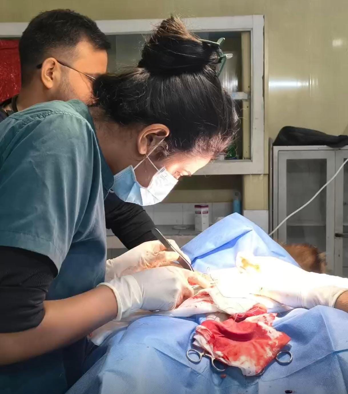 Vetmedics Gallery